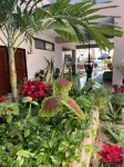 Bahia Tolok Hotels in Isla Mujeres