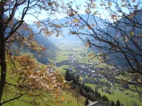 Platzwirt