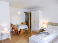Chesa Ova Cotschna 304 - Homestays
