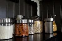 Centric Hotel - Pet Friendly