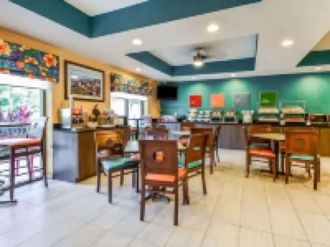 Comfort Suites Tampa - Brandon Hotels in Tampa