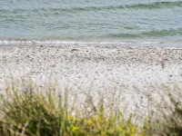 "Jerrit" - 225m from the Sea