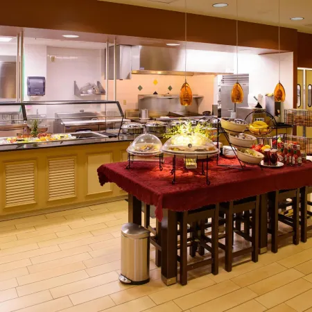 Hilton Garden Inn Rochester Downtown