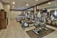 Steigenberger Hotel München - Gym