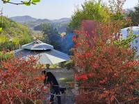 Damyang Firefly Pension