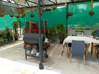 Mulberry Homestay Hotels in Kumily