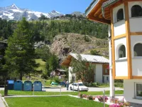 Alpenstern Distel