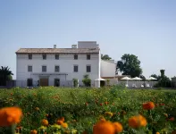 La Mozaira Hotels in El Puig