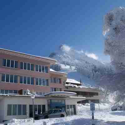Ferien- Und Familienhotel Alpina Adelboden Hotel Exterior