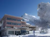 Ferien- Und Familienhotel Alpina Adelboden