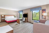 Hampton Inn & Suites Orlando-Apopka - Swimmingpools