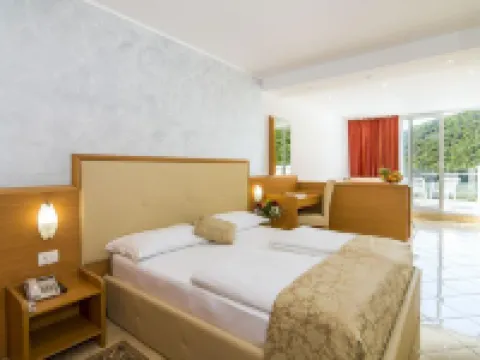 Hotel Hedera - Maslinica Hotels & Resorts Hotels in Rabac