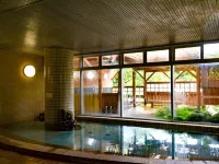 Ryokamisho Hotels in Ogano