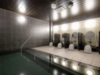 The Celecton Tsuchiura Ekimae Hotels in Tsuchiura