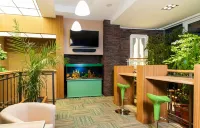 Volgo-Don Hotel Hotels in Gorod Volgograd