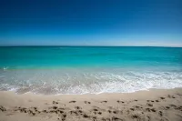 The Plymouth South Beach - románticos