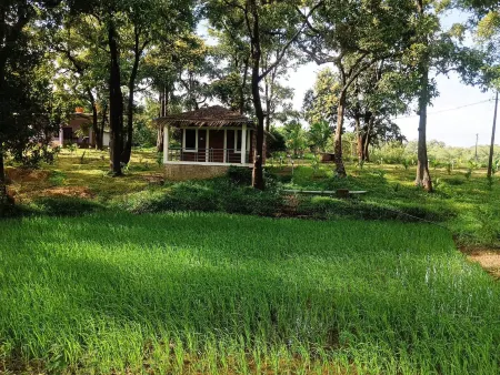 Cottage In Farm House Dandeli