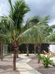 Wanderlust Garden Inn - 2 ดาว