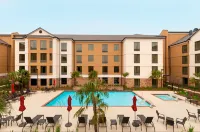 Homewood Suites by Hilton Shreveport / Bossier City - Pool