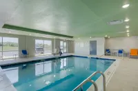 阿賓登島智選假日套房酒店 - 泳池