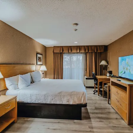 SureStay Plus by Best Western Coquitlam