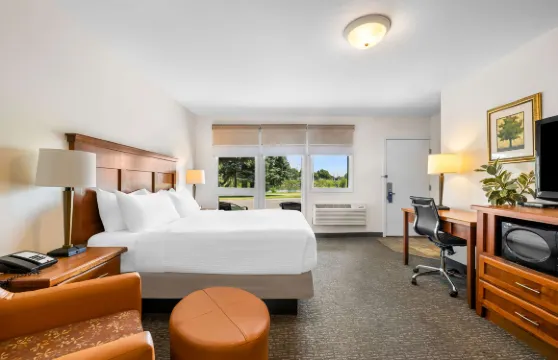 浮木貝斯特韋斯特酒店