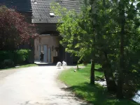 Friends Hotel Kerpen فنادق في Kerpen
