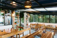 The Hosteller Bir