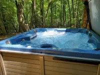 Escape to Western North Carolina, Secluded, But Close to Everything!