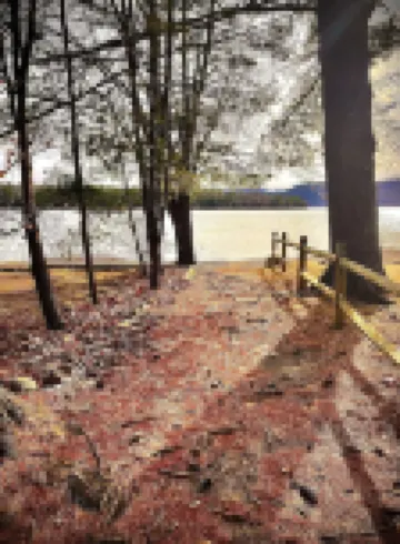 Studio Cottage Getaway Blossoms Cottage #5