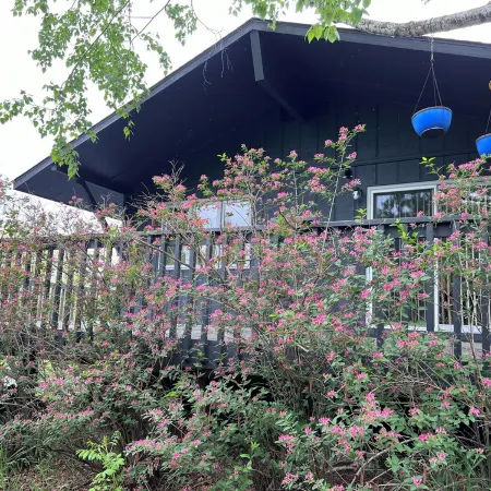 Gorgeous Chippewa Forest and Little Sand Lake @ backyard of this beautiful Cabin