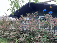 Gorgeous Chippewa Forest and Little Sand Lake @ backyard of this beautiful Cabin
