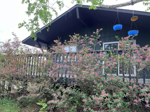 Gorgeous Chippewa Forest and Little Sand Lake @ backyard of this beautiful Cabin