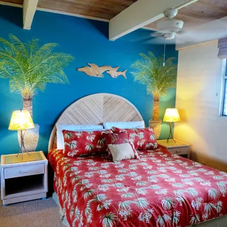 Direct Oceanfront Condo!  Sea Turtles & Beautiful Sunsets from the Lanai