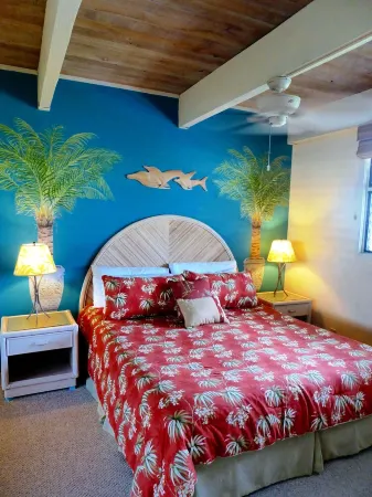 Direct Oceanfront Condo!  Sea Turtles & Beautiful Sunsets from the Lanai Отели рядом с достопримечательностью «Moonshot Play Space, LLC»