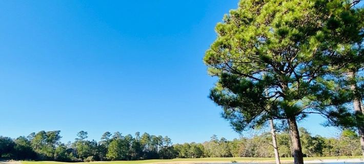 Pawleys Island True Blue Villa, ground floor with 3 bedrooms and 4 beds Hotels in Georgetown County