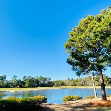 Pawleys Island True Blue Villa, ground floor with 3 bedrooms and 4 beds