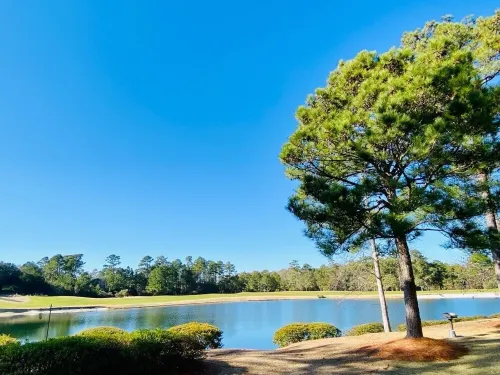 Pawleys Island True Blue Villa, ground floor with 3 bedrooms and 4 beds