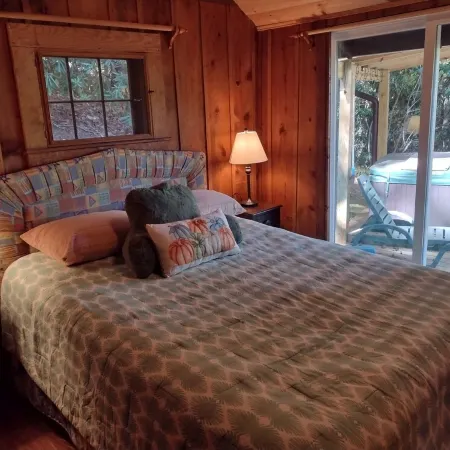 Rustic 1940's Appalachian Summer Cabin w/hot tub - Black Mountain
