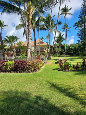 ISLANDER AT THE BEACH OCEAN FRONT CONDO # 145