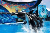 Kissimmee Studio 16 min from Disney World