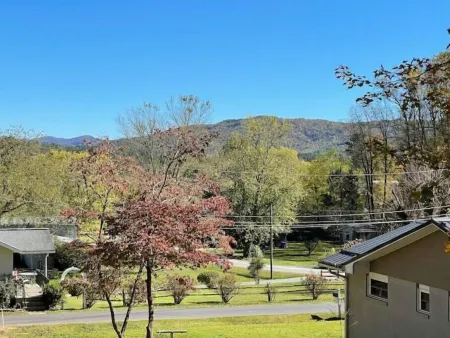 The Cabin at Edelweiss Отели в г. Трансильвания