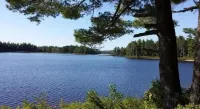 900 sq/ft off-grid cabin nestled on Upper Cranberry Lake. Pet Friendly!