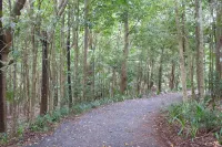 Tranquil rainforest apartment, close to Bangalow village, 15 mins to Byron Bay