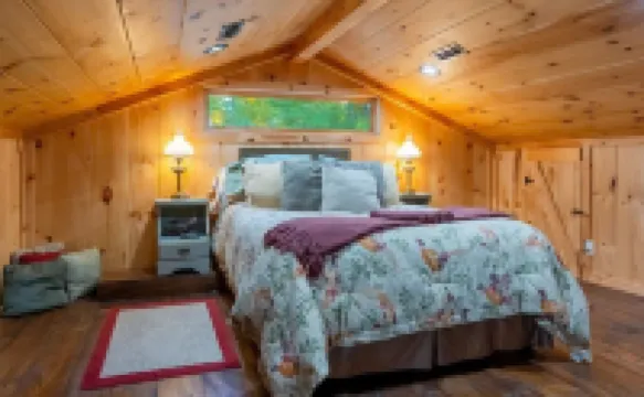 Red Cabin on Kentucky Lake.  Peaceful and pet friendly with a partial lake view.