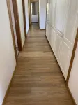Spacious, Sunny House with View of Mt. Wellington