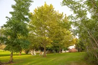 Holiday home "Da Maria Maddalena" n ° 1 Beach of Buggerru附近的飯店