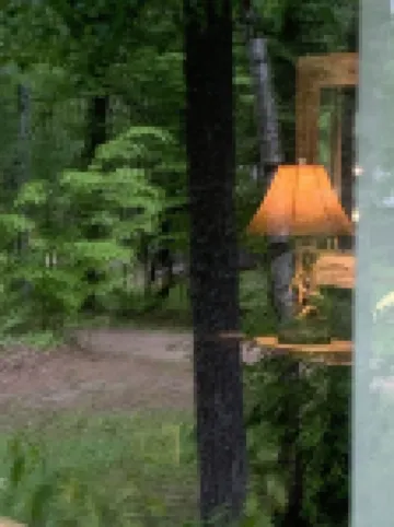 Lake Tahoe UP - Grey Wolf