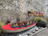 Cosy Devon Cottage in a stunning location