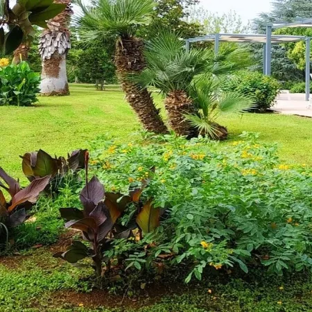 VILLA DELLE LANTANE with Private Pool in a garden of 10,000 m. q.